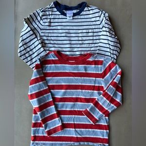 Set of 2 Hanna Andersson long sleeved boy tees size 5 in VGUC.